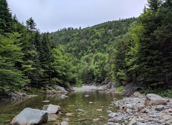 canada/fundy-national-park/landmark/wolfe-river-gorge-unesco-fundy-biosphere-reserve