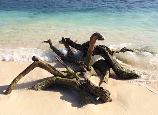 grenada/saint-patrick/landmark/sandy-island