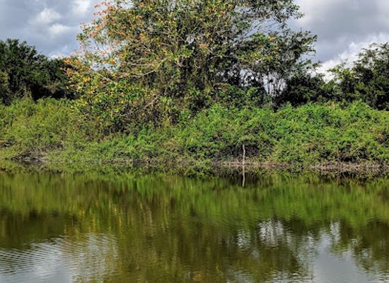 belize/cockscomb-basin-wildlife-sanctuary/landmark/crooked-tree-wildlife-sanctuary