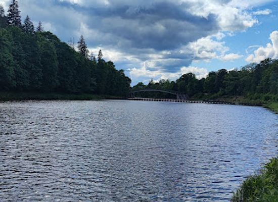 latvia/teici-nature-reserve/landmark/sightseeing-platform