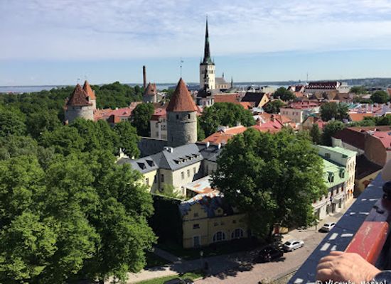 estonia/laane-viru-county/landmark/tallinn-town-hall