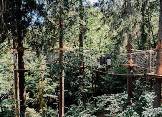 austria/pongau/landmark/tree-parcours-1