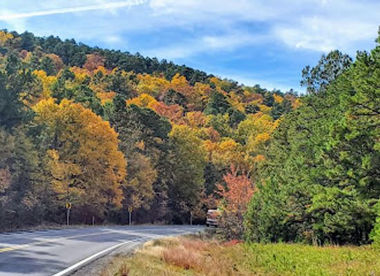 oklahoma/talimena-scenic-byway/landmark/talimena-national-scenic-byway
