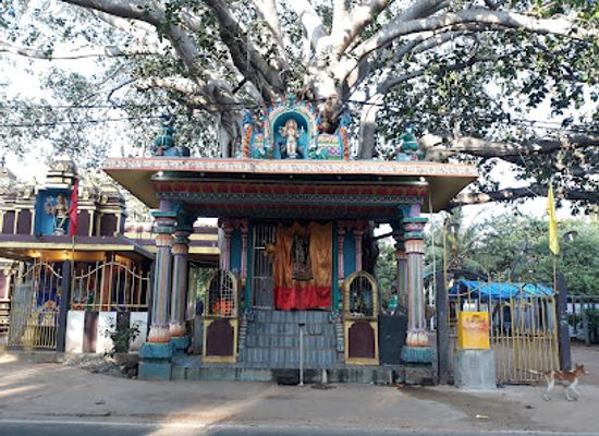 sri-lanka/trincomalee-district/landmark/save-the-children-usda-palm-a-field-office-sarvodaya-trincomalee-district-center