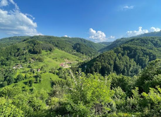 serbia/zlatibor/landmark/zip-line-zlatibor-ljubis