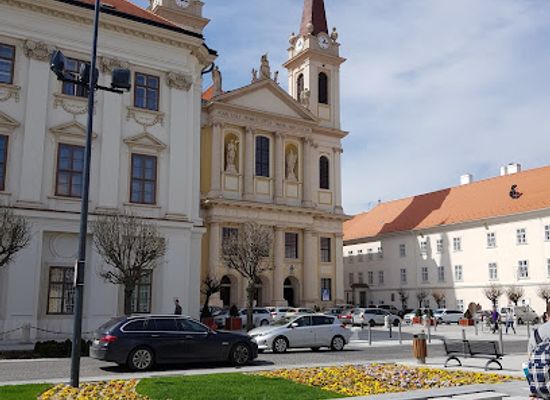 hungary/szombathely/landmark/our-lady-of-the-visitation-cathedral-szombathely