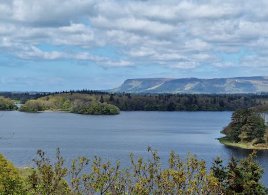 ireland/connacht/landmark/dooney-rock-forest