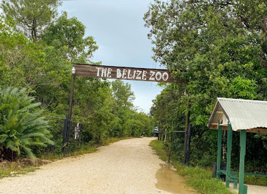 belize/sarteneja/landmark/the-belize-zoo-and-tropical-education-center