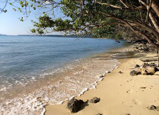 vanuatu/aore-island/landmark/aore-island-land