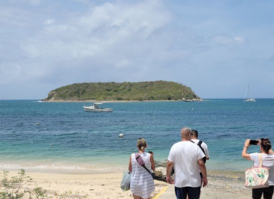 puerto-rico/vieques-island/landmark/rancho-choli