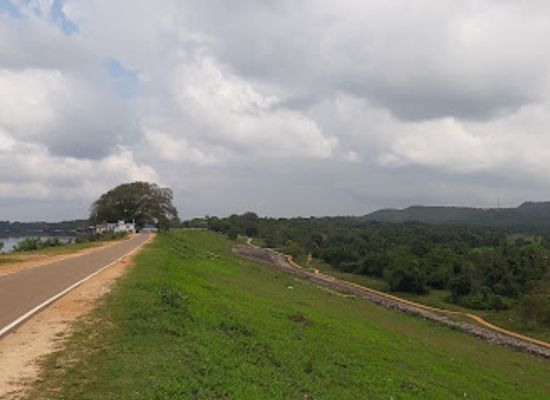 sri-lanka/minneriya-national-park/landmark/minneriya-tank-bund