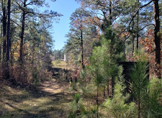 louisiana/kisatchie-national-forest/landmark/wild-azalea-trailhead