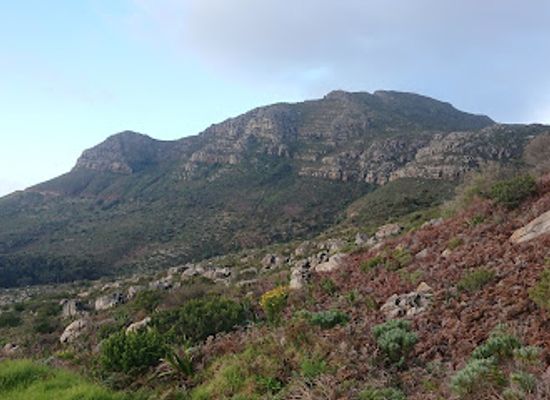 south-africa/overberg/landmark/table-mountain-road-viewing-bench
