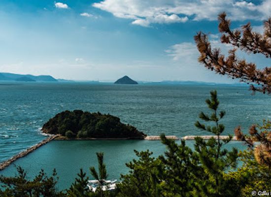 japan/naoshima-island/landmark/chichu-art-museum