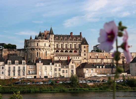france/centre-val-de-loire/landmark/chateau-royal-d-amboise