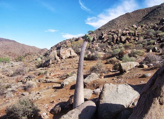 south-africa/battlefields/landmark/richtersveld