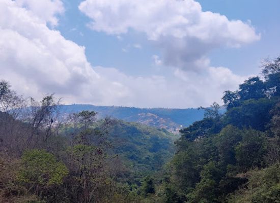 sierra-leone/southern-province/landmark/tacugama-chimpanzee-sanctuary