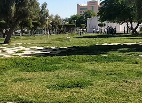 kuwait/al-ahmadi-governorate/landmark/andalous-and-rigai-park
