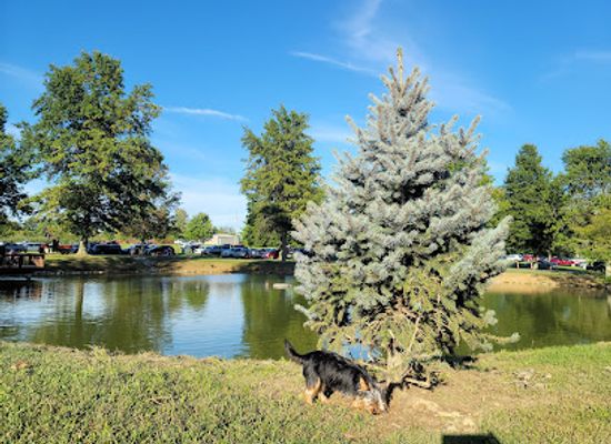 indiana/the-uplands/landmark/huber-s-family-fun-park