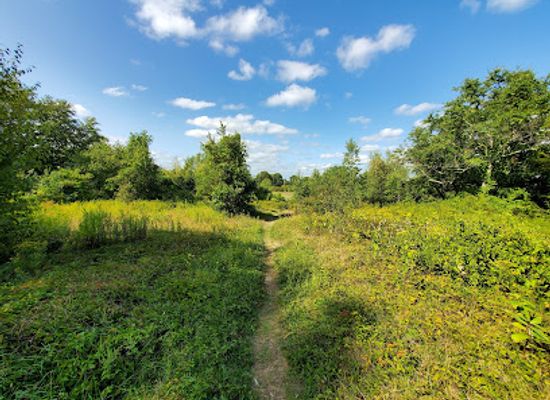 rhode-island/providence-county/landmark/snake-den-state-park