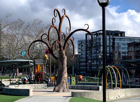 washington/bellevue/bellevue-square/landmark/bellevue-downtown-park