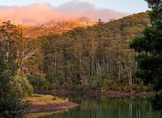 australia/tasmanian-wilderness/landmark/waterworks-reserve