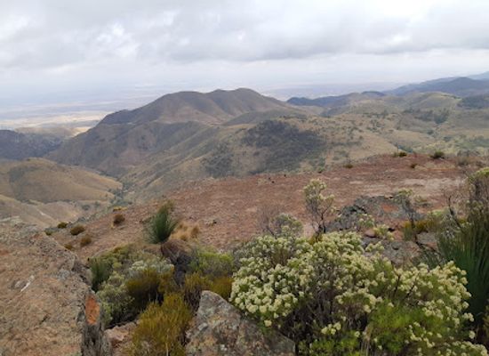 australia/flinders-ranges/landmark/the-dutchmans-stern-conservation-park