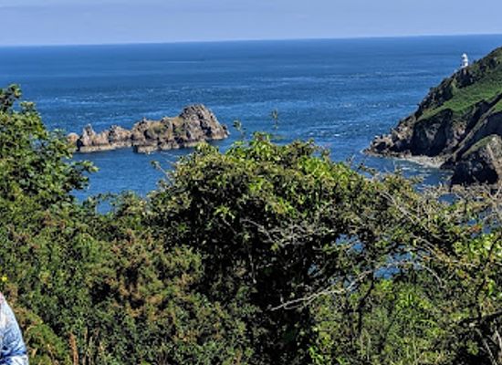 guernsey/sark/landmark/sark-carriages