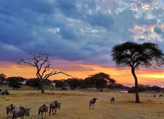 tanzania/arusha/landmark/visit-tanzania