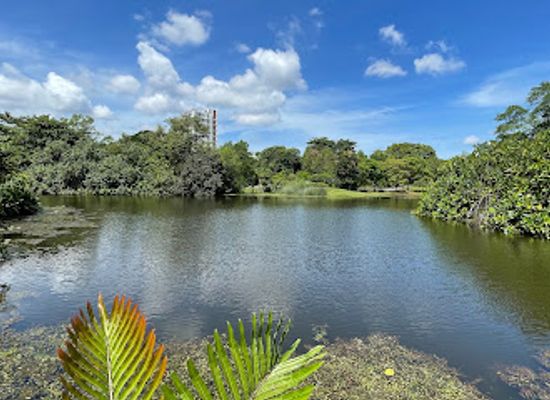 singapore/bukit-timah/landmark/jacob-ballas-children-s-garden