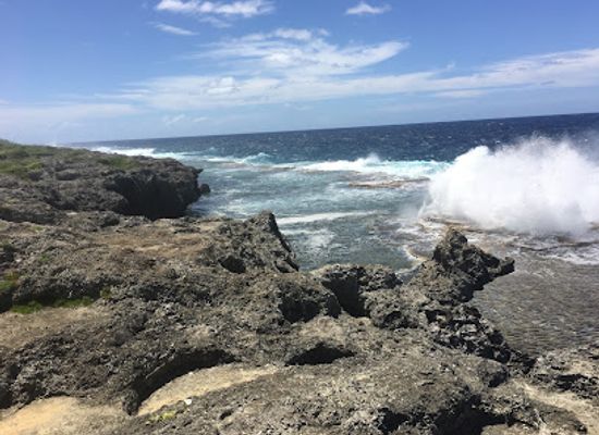tonga/ha-apai-islands/landmark/mapu-a-vaea-blowholes