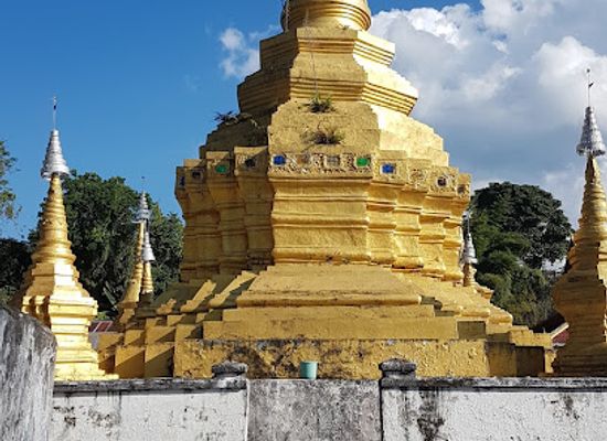 laos/muang-sing/landmark/nam-ha-national-bio-diversity-conservation-area
