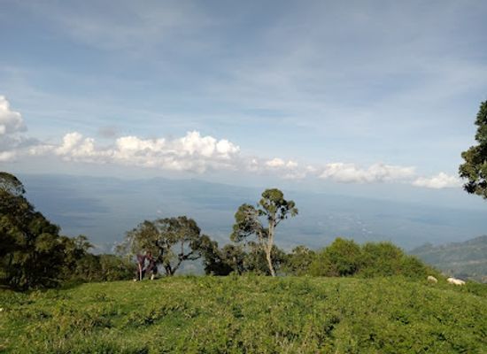 kenya/pokot-region/landmark/embobut-forest