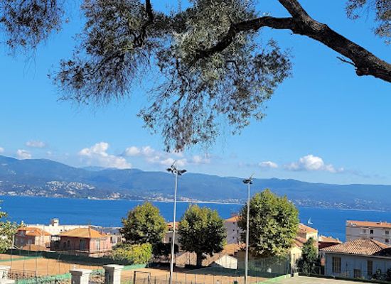 france/corsica/landmark/monument-commemoratif-de-napoleon-1er-munimentu-cummimurativu-di-nabulione