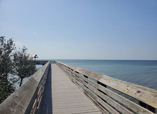texas/rio-grande-valley/landmark/laguna-madre-nature-trail