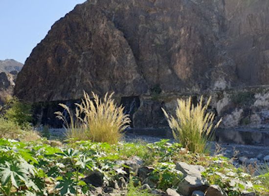 oman/al-batinah-south-governorate/landmark/wadi-bani-hany