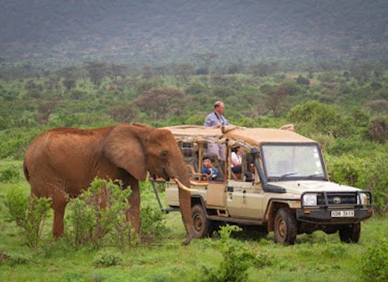 kenya/samburu-region/landmark/samburu-trails-samburu-national-reserve