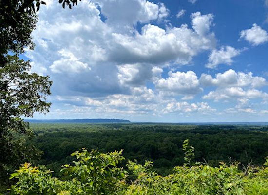 illinois/shawnee-hills/landmark/little-grand-canyon