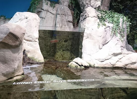 turkiye/marmara-region/landmark/istanbul-aquarium