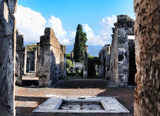 italy/pompeii/landmark/house-of-the-dioscuri