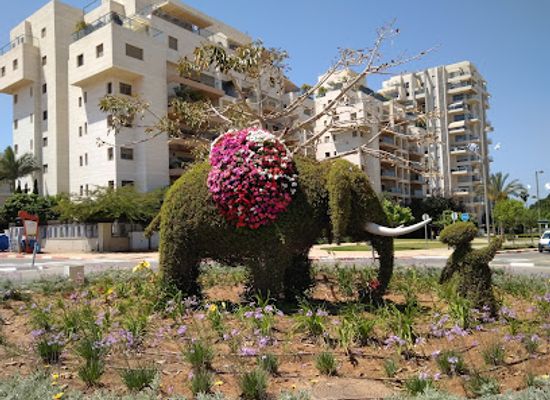 israel/herzliya/landmark/picolonia-city