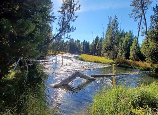 oregon/lake-county/landmark/deschutes-national-forest
