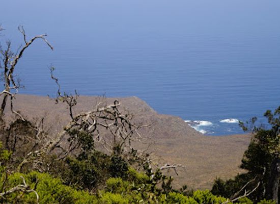 chile/coquimbo/landmark/parque-nacional-fray-jorge