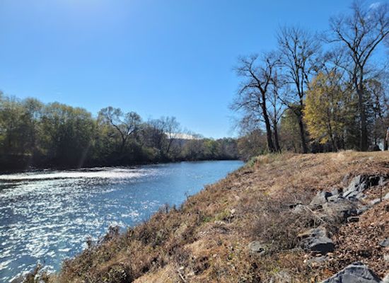 alabama/desoto-state-park/landmark/etowah-indian-mounds-state-historic-site