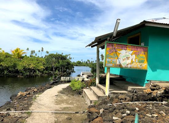 american-samoa/pola-valley/landmark/swimming-with-turtles