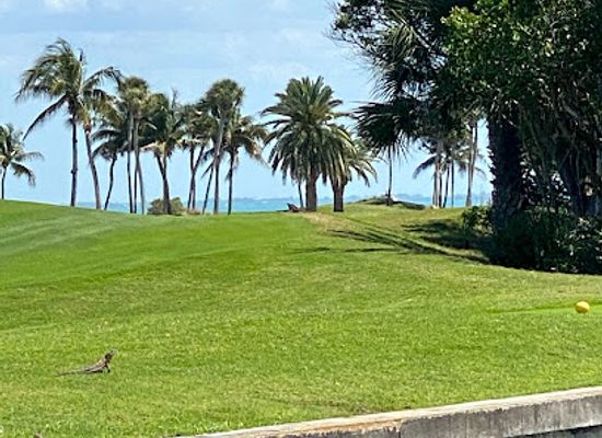 florida/big-bend/landmark/gasparilla-sound-charlotte-harbor-aquatic-preserve