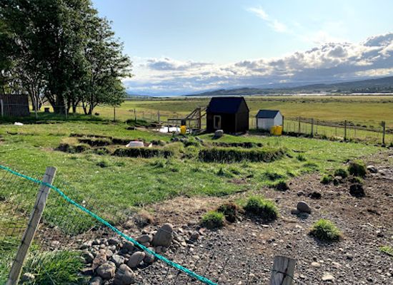 iceland/egilsstadir/landmark/finnsstaoir-horse-rental
