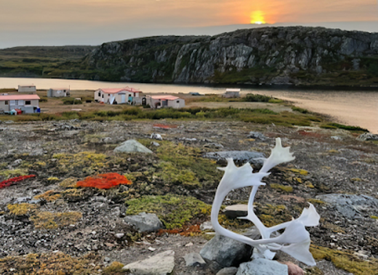canada/nunavik/landmark/nunawild