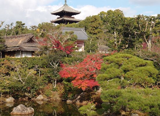 japan/kyoto-countryside/landmark/kyoto-station