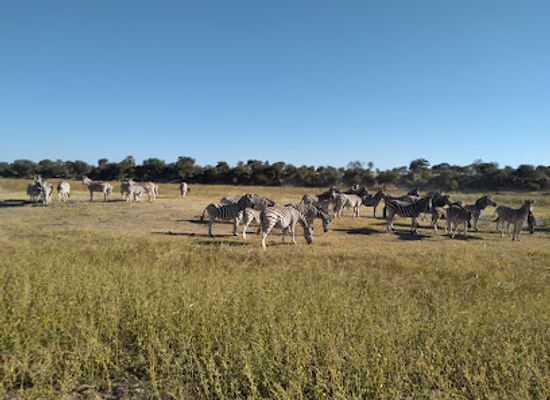 botswana/central-kalahari-game-reserve/landmark/makgadikgadi-pans-national-park